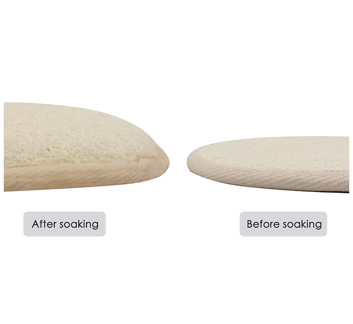 Luffa Scrubber